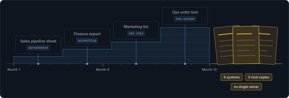 Timeline over one year in which a sales spreadsheet, a finance export, a marketing list and an ops tool accumulate into five systems and three rival copies of the same data